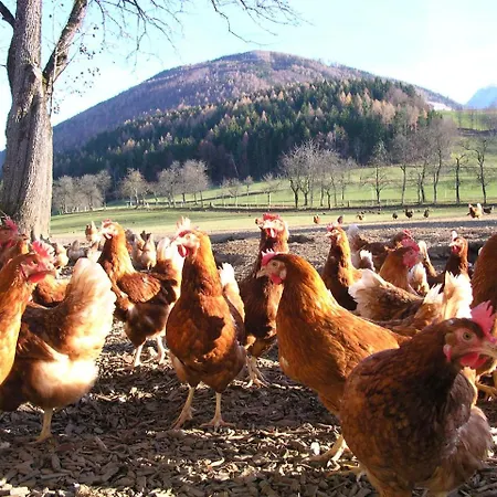 Κατάλυμα σε φάρμα Knirschenhof