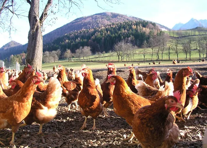 Farm stay Knirschenhof